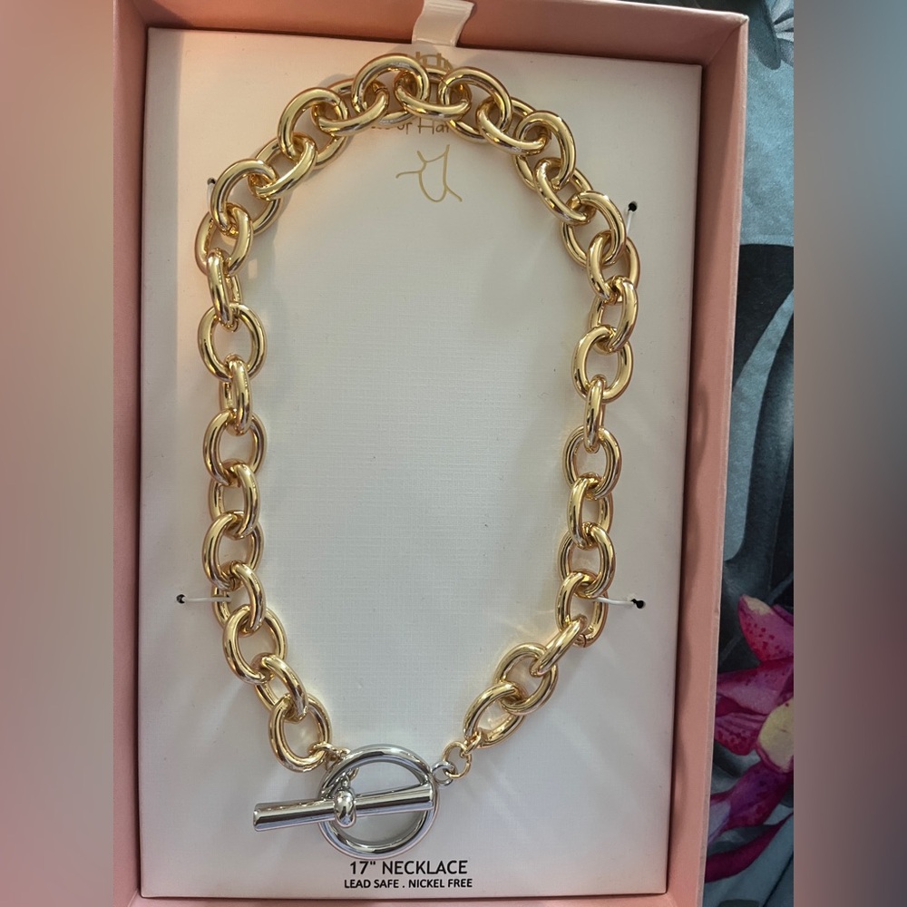 House of Harlow 1960 Elegant Gold and Silver Chain Necklace 17”